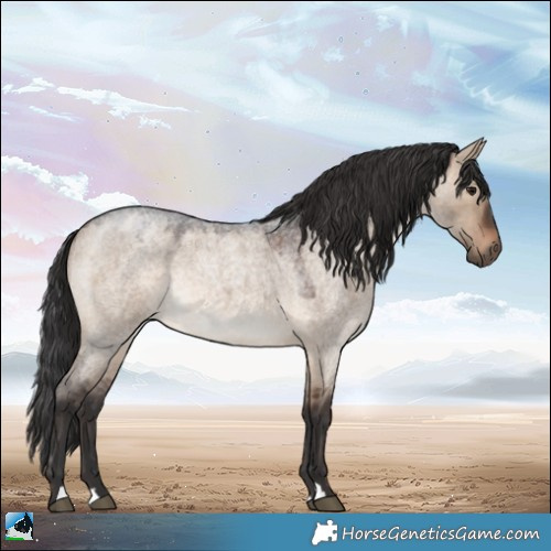 Horse Color:Brown Roan Dun Rabicano
