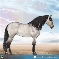 Horse Color:Brown Roan Dun Rabicano 