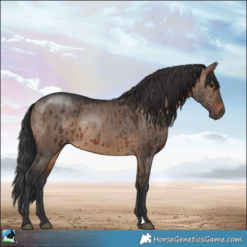 Horse Color:Brown Dun Rabicano Brindle