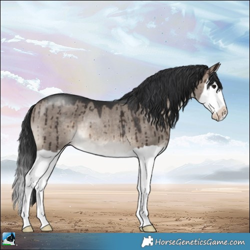 Horse Color:Brown Dun Mushroom Splash Rabicano Brindle 