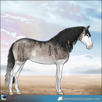 Horse Color:Brown Dun Mushroom Splash Rabicano Brindle 