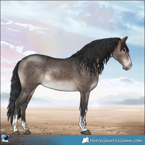 Horse Color:Brown Dun Mushroom Sabino Rabicano