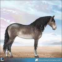 Horse Color:Brown Dun Mushroom Sabino Rabicano