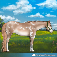 Horse Color:White Spotted Liver Chestnut Pearl Sabino 