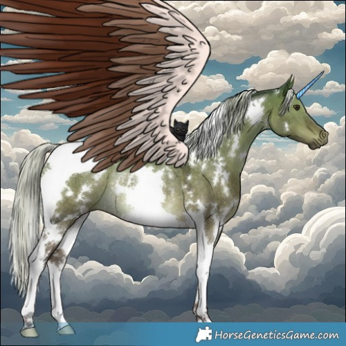 Horse Color:White Spotted Silver Brown Dun Tobiano Rabicano 