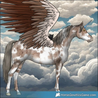 Horse Color:White Spotted Liver Red Dun Mushroom Sabino Brindle