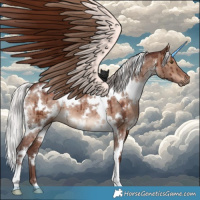 Horse Color:White Spotted Chocolate Silver Brown Dun Brindle 