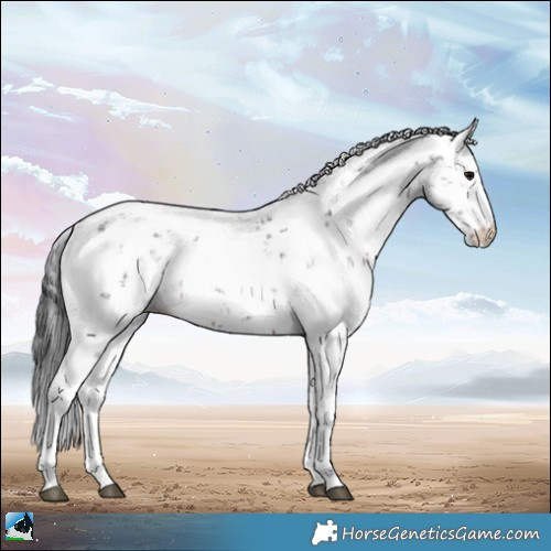 Horse Color:Brown Sabino Rabicano 
