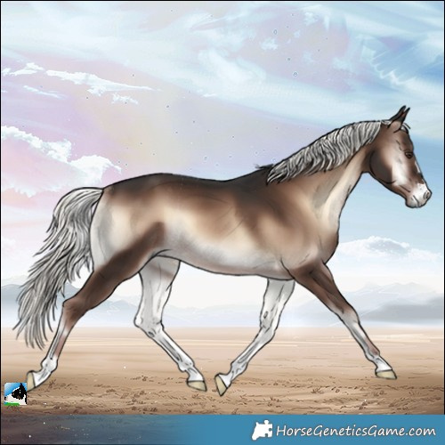 Horse Color:Liver Red Onyx Mushroom Rabicano