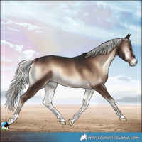 Horse Color:Liver Red Onyx Mushroom Rabicano