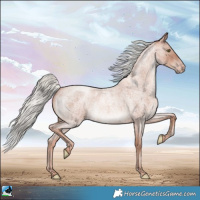 Horse Color:Gold Champagne Roan Mushroom Rabicano 
