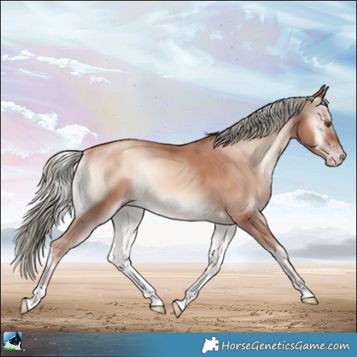 Horse Color:Gold Champagne Onyx Mushroom Rabicano 