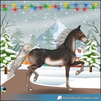 Horse Color:Liver Chestnut Mushroom Sabino Rabicano 