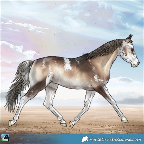 Horse Color:Liver Red Onyx Mushroom Sabino Rabicano