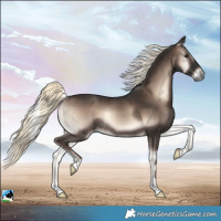 Horse Color:Liver Red Onyx Mushroom Rabicano 