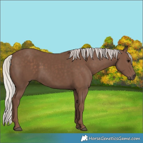 Horse Color:Silver Black 