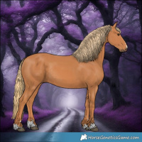 Horse Color:Chestnut Rabicano 