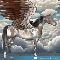 Horse Color:White Spotted Brown Ice Dun Rabicano Brindle