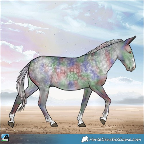 Horse Color:Nacre Silver Black Chinchilla 