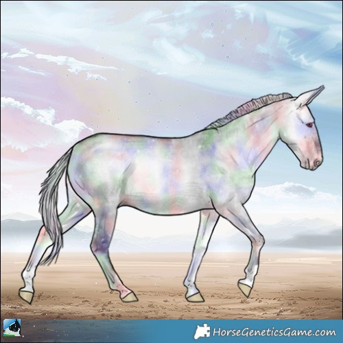 Horse Color:Nacre Silver Brown Chinchilla Onyx Rabicano 