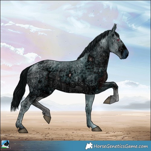 Horse Color:ERROR: UNKNOWN ANOMALY