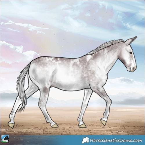 Horse Color:White Spotted Chocolate Silver Blue Onyx Chinchilla Sabino Rabicano 