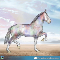Horse Color:Nacre Chocolate Silver Blue Onyx Chinchilla Sabino 