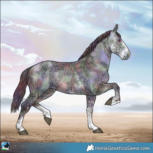 Horse Color:Nacre Chocolate Buckskin Chinchilla Ice Sabino Rabicano