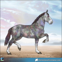 Horse Color:Nacre Chocolate Buckskin Chinchilla Ice Sabino Rabicano 