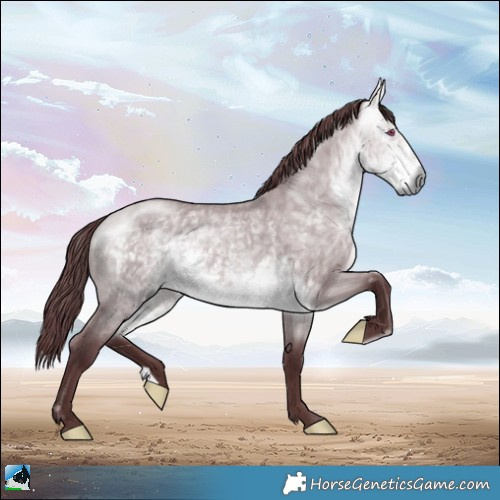 Horse Color:Chocolate Buckskin Chinchilla Dun