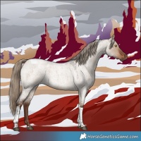 Horse Color:Liver Red Dun Roan Tobiano