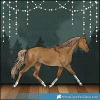 Horse Color:Chocolate Palomino Dun Tobiano 