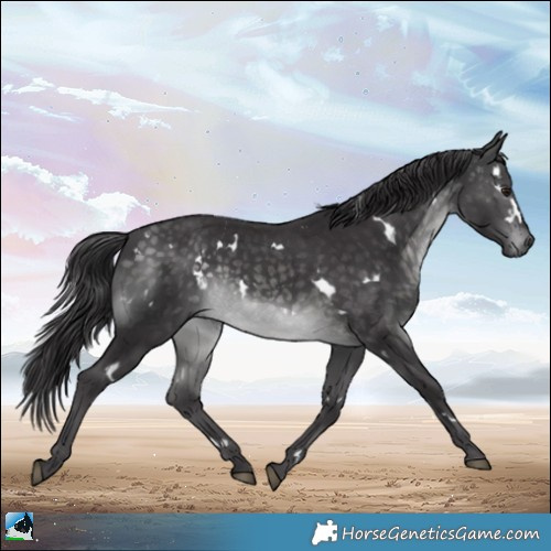 Horse Color:Platinum White Spotted Buckskin Rabicano 