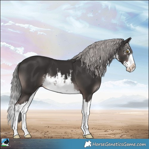 Horse Color:Platinum White Spotted Liver Chestnut Splash 