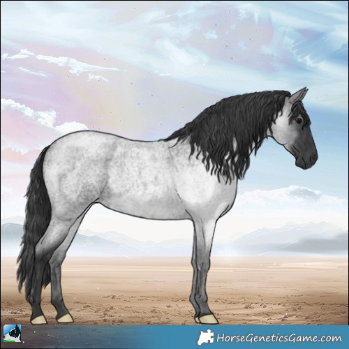 Horse Color:Platinum Blue Roan Rabicano 