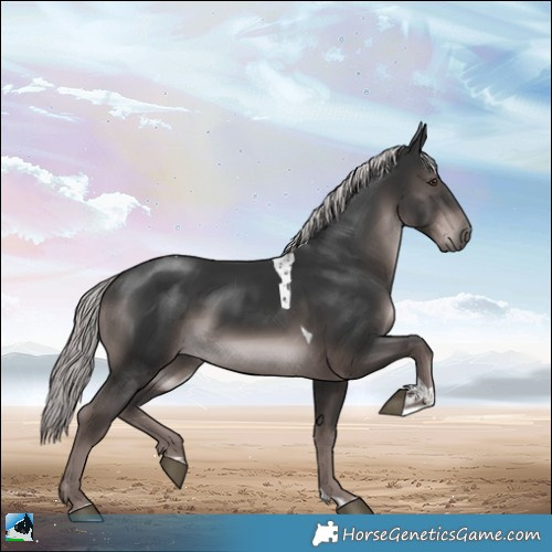 Horse Color:Platinum Liver Chestnut Tobiano Rabicano 