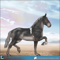 Horse Color:Platinum Liver Chestnut Tobiano Rabicano