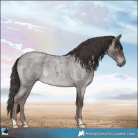 Horse Color:Platinum Liver Red Roan Rabicano 