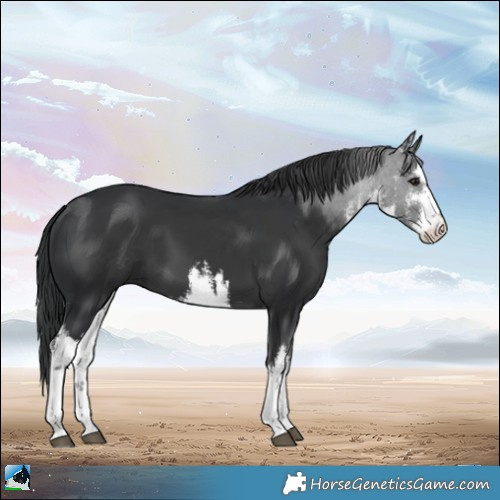 Horse Color:Platinum White Spotted Black