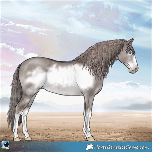 Horse Color:Platinum White Spotted Liver Red Dun Frame 