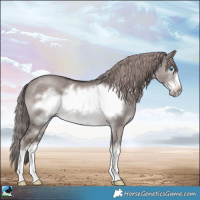 Horse Color:Platinum White Spotted Liver Red Dun Frame 