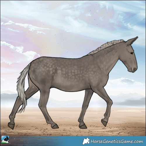 Horse Color:Silver Black Rabicano 