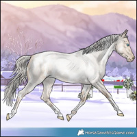 Horse Color:White Spotted Liver Red Roan Snowdrop Pearl 