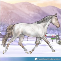 Horse Color:White Spotted Liver Red Roan Pearl 