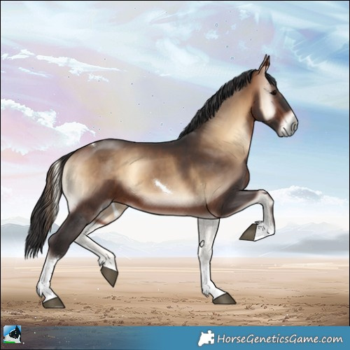 Horse Color:White Spotted Bay Onyx Tobiano Rabicano 