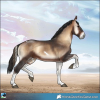 Horse Color:White Spotted Bay Onyx Tobiano Rabicano