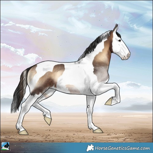 Horse Color:White Spotted Brown Onyx Splash Tobiano Rabicano