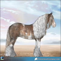 Horse Color:Chocolate Palomino Ice Sabino Tobiano Rabicano