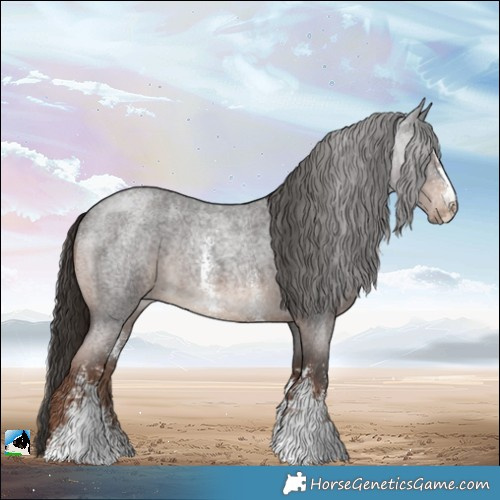 Horse Color:Liver Red Roan Sabino Rabicano