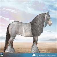Horse Color:Liver Red Roan Sabino Rabicano 